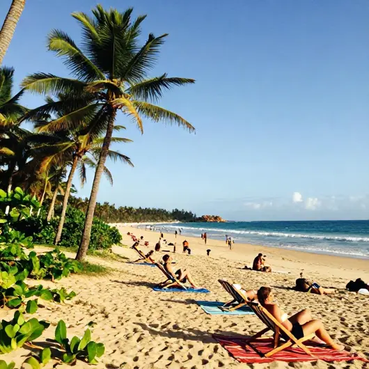 Descubra o Melhor de TomBeach