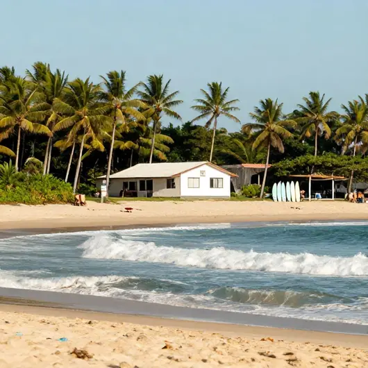 Escola de surf